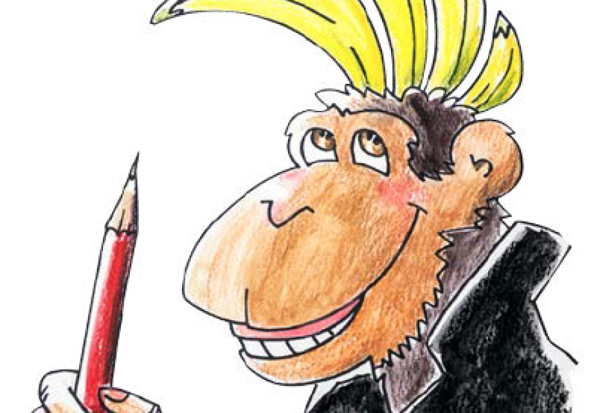 Punkey the Monkey arrives in Belfast