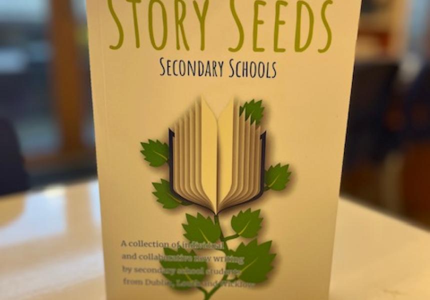Story Seeds Secondary Schools
