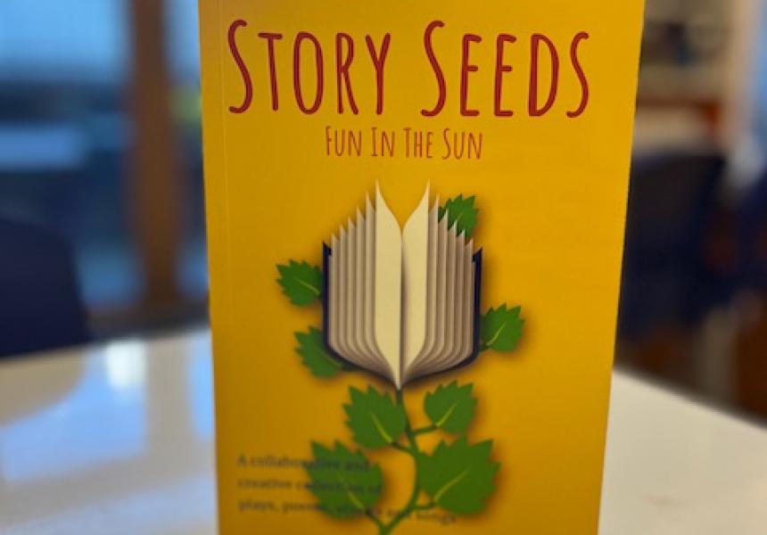 Story Seeds Fun in the Sun