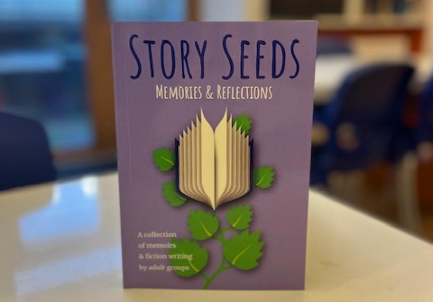 Story Seeds Memories and Reflections