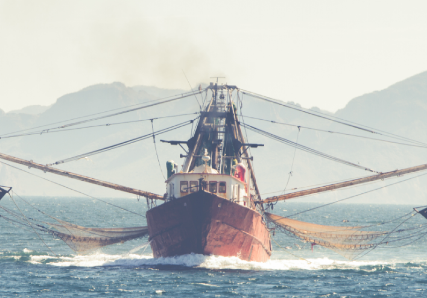The Gobshite Trawler Man