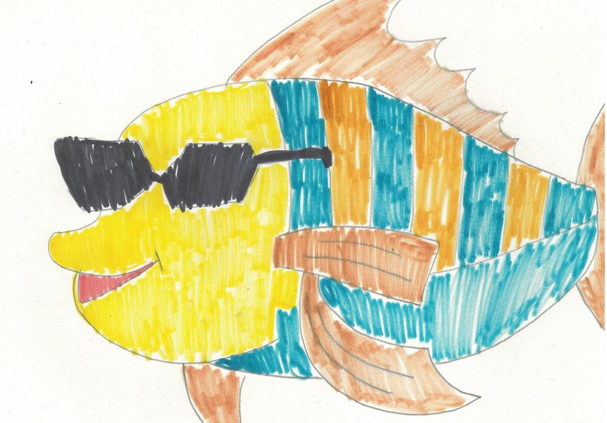The Fish Who Had a Complicated Life