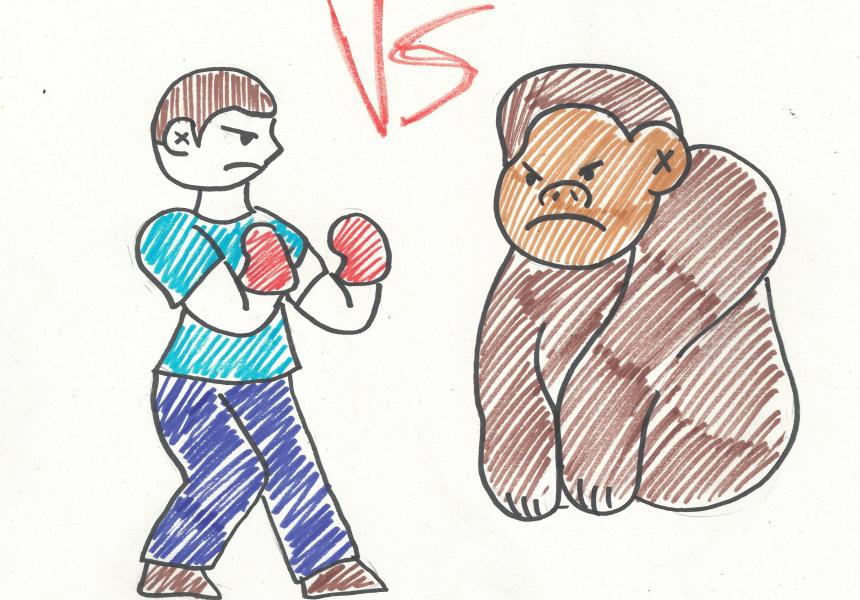The Aura in the Boxing Ring