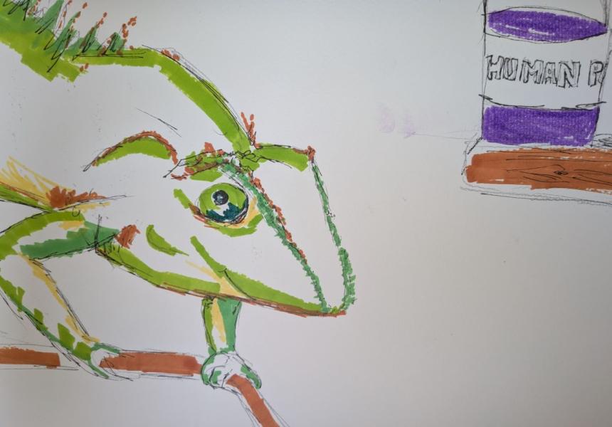 The Chameleon Named Bob