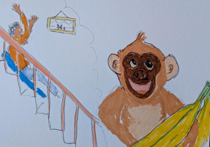 MJ and Monkey