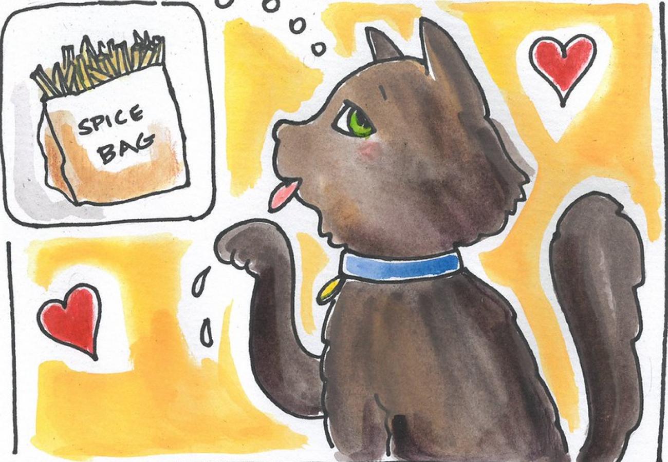 Young Hershey and the Adventures of the Spice Bag