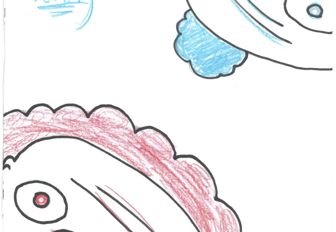  Graphic Novel by Aidan  (2018)