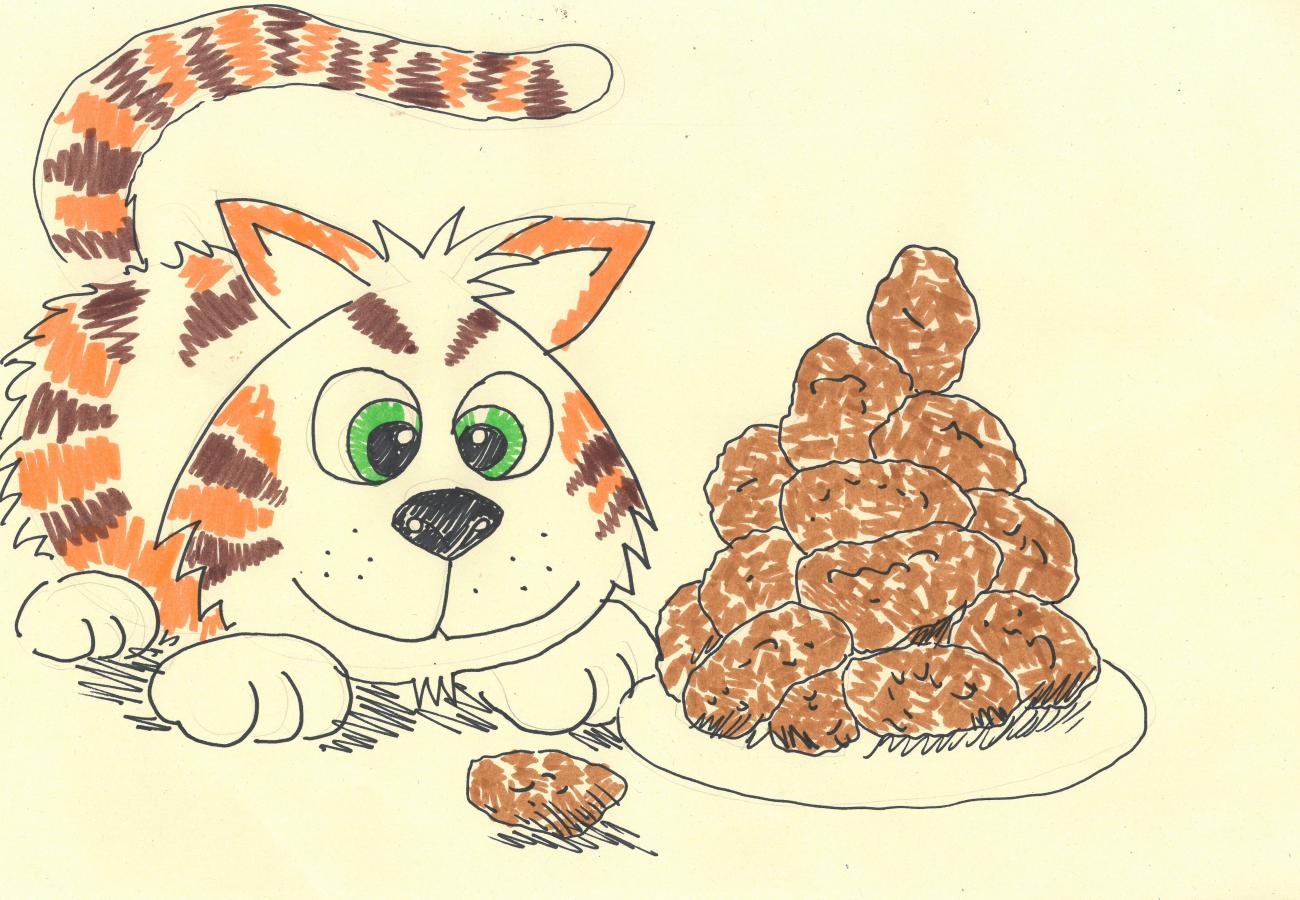 Zoomy the cat
