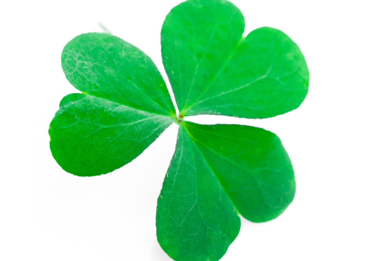 St Patrick’s Day of Terror