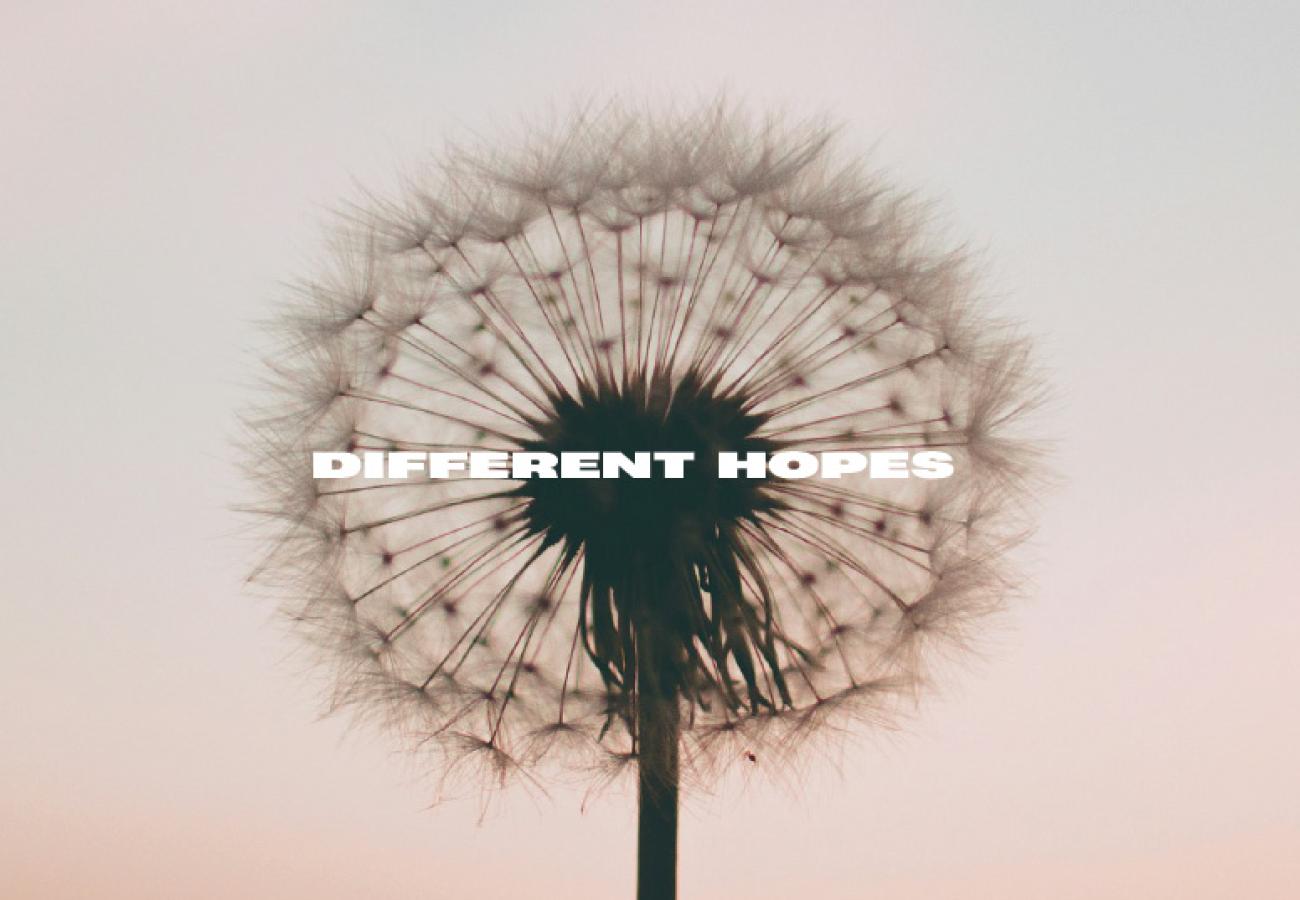 DifferentHopes