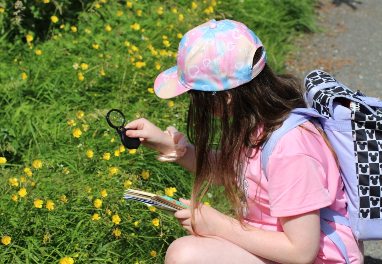 Studying nature