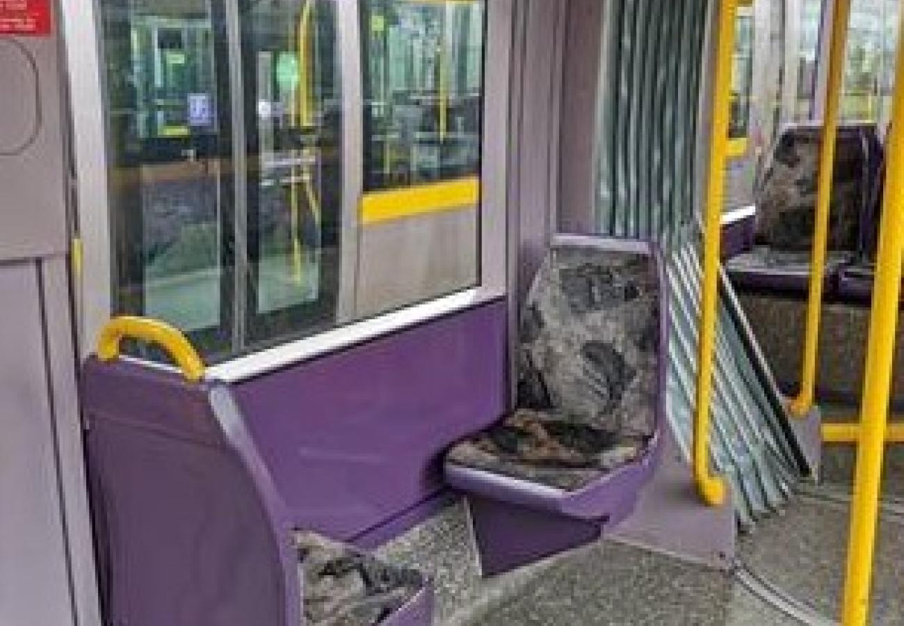 The Special Seat