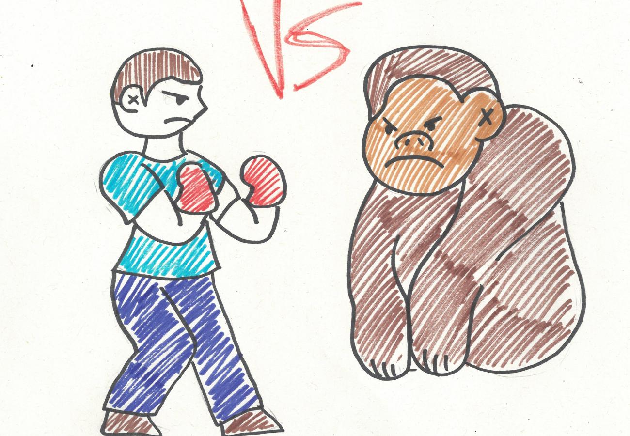 The Aura in the Boxing Ring