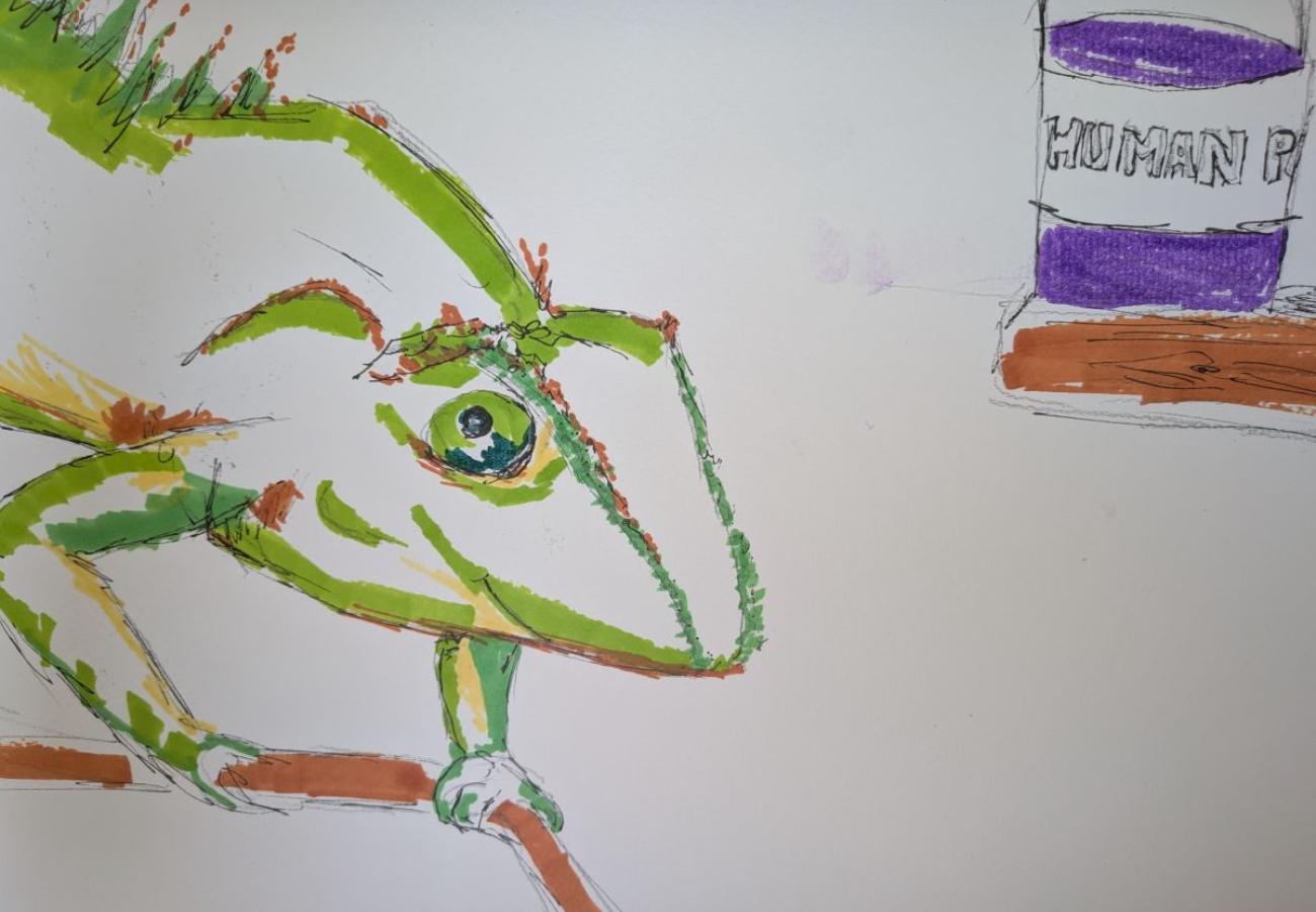 The Chameleon Named Bob
